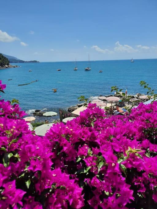 Pitelli La Terrazza Sul Golfo Dei Poeti Con Vista Mare 아파트 외부 사진